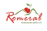 logo-municipalidad-de-romeral-pbbingenieria-agencia-digitalkhali-marketing
